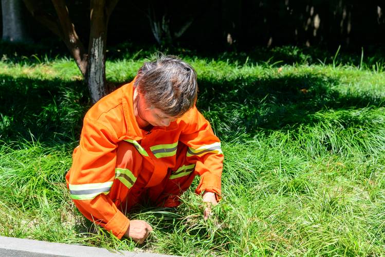 道路清扫公司的服务内容有哪些?