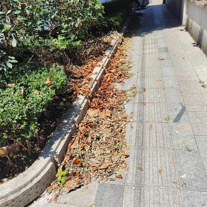 大唐人行道马路上没人清扫
