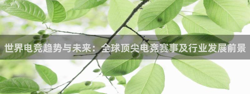 im电竞苹果：世界电竞趋势与未来：全球顶尖电竞赛事及行业发展前景