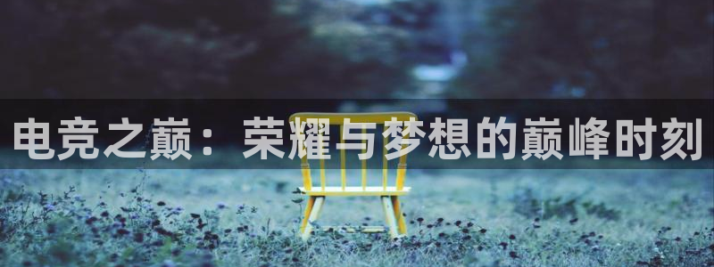 im电竞在线入口版：电竞之巅：荣耀与梦想的巅峰时刻